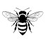 Čebela