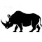 Rhino