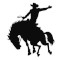 Rodeo 1