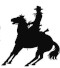 Rodeo 4